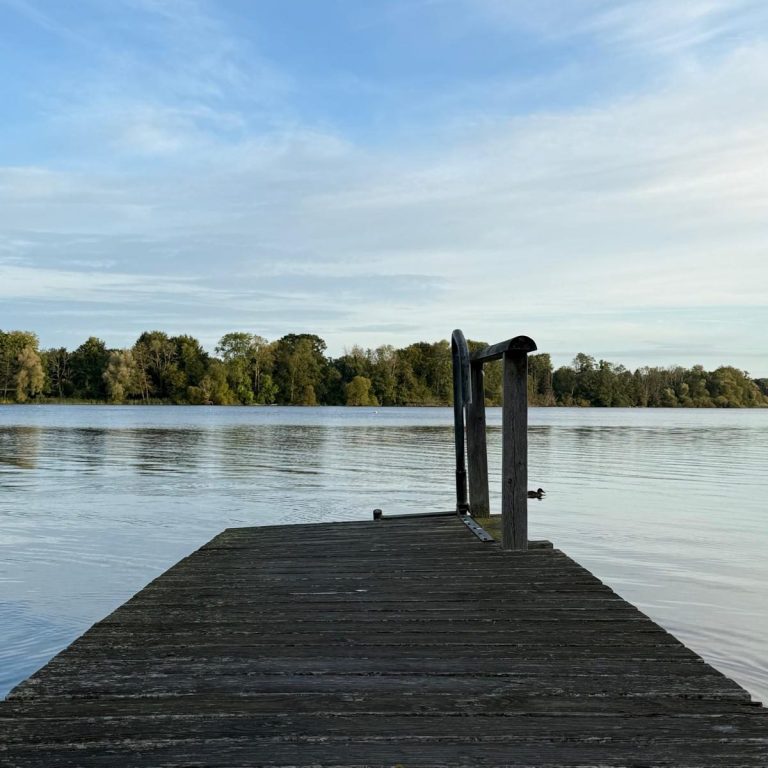 Steg am ruhigen See, umgeben von Bäumen und einem klaren Himmel.