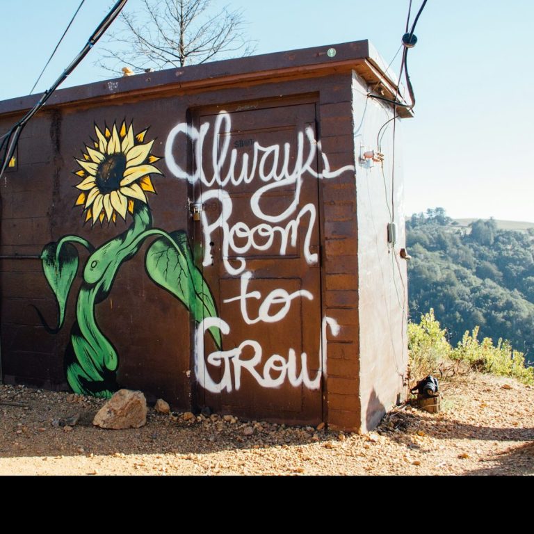 Wandmalerei mit Sonnenblume und dem Text "Immer Raum zum Wachsen".
